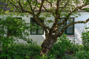 Haus Vogelkiek